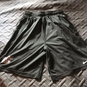 Nike USA Shorts